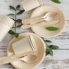 Disposable Tableware