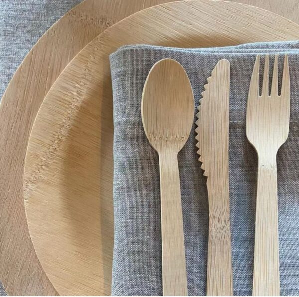 Disposable Tableware