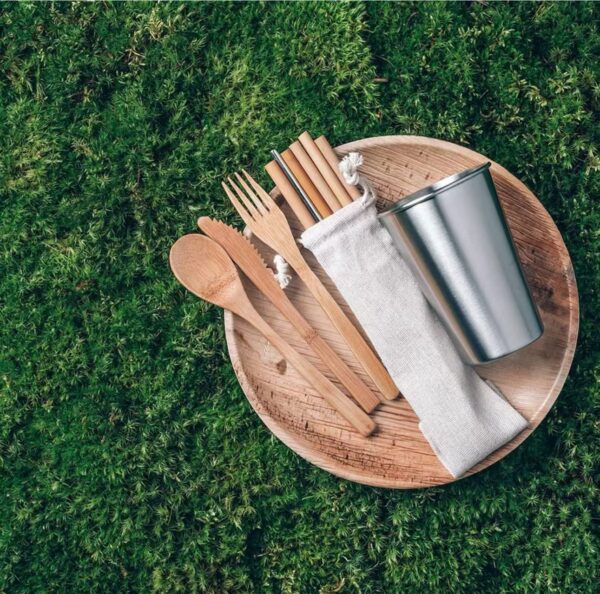 Disposable Tableware