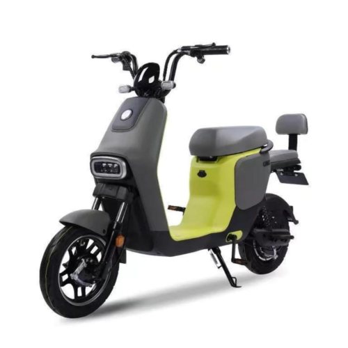 Electric Bike-Y2-M12