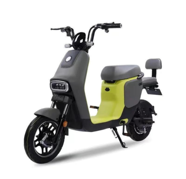ev-bikes Electric Bike-Y2-M12
