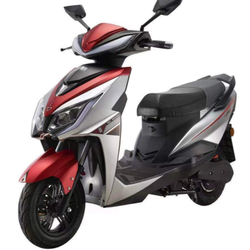 Electric Bike-WWolf-ZL3
